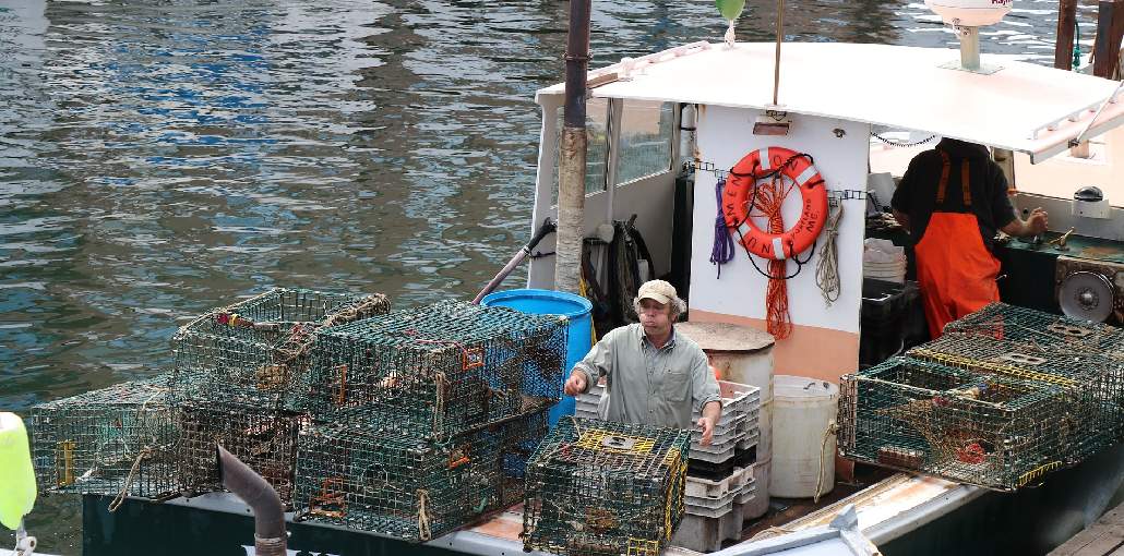 How Blockchain is Transforming Seafood industry