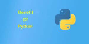 Benefits of Using Python Language for Development