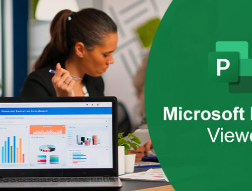 Microsoft Project Viewer Software