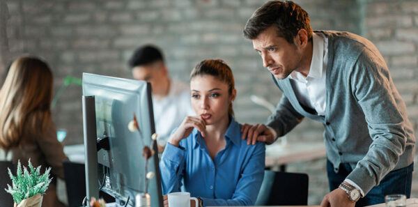 Software Development Consulting