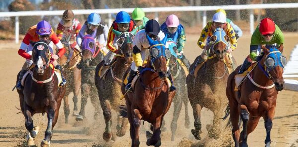 Technologies That Will Define The Future Of Horse Racing