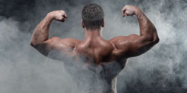 wellhealth how to build muscle tag