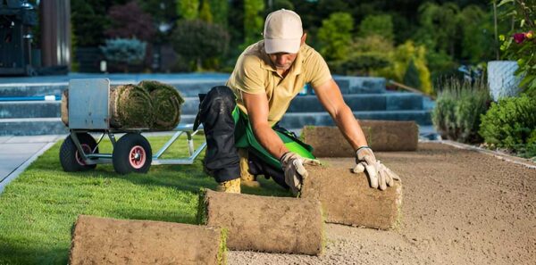 Landscaping Business