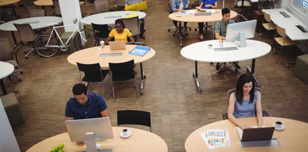 Workplace Experience