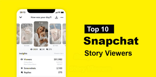 Snapchat Story Viewer