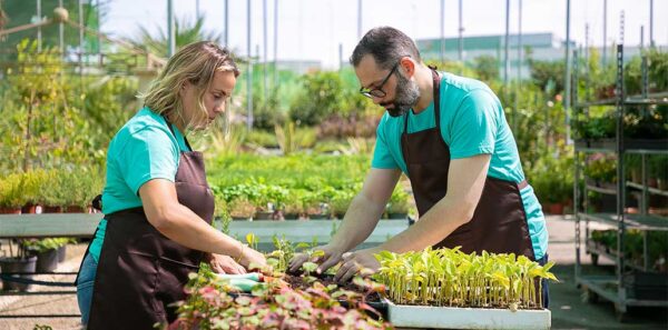 Agriculture Business Ideas