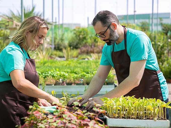 Agriculture Business Ideas