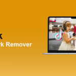 TikTok Watermark Remover
