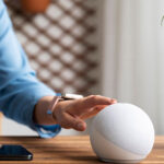 Alexa Not Responding