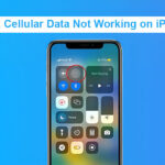 Cellular Data Not Working