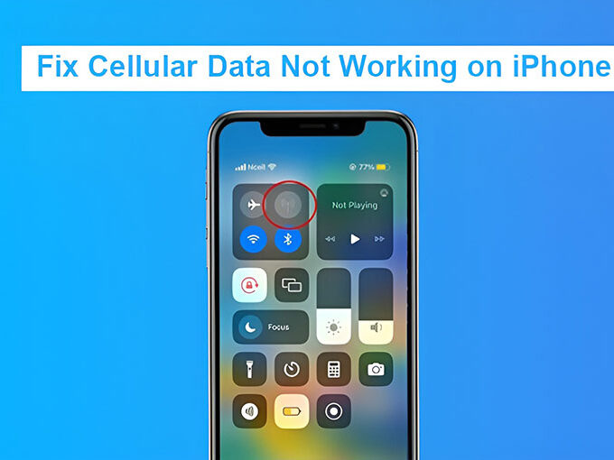 Cellular Data Not Working