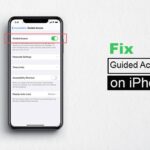 Guided Access Not Working