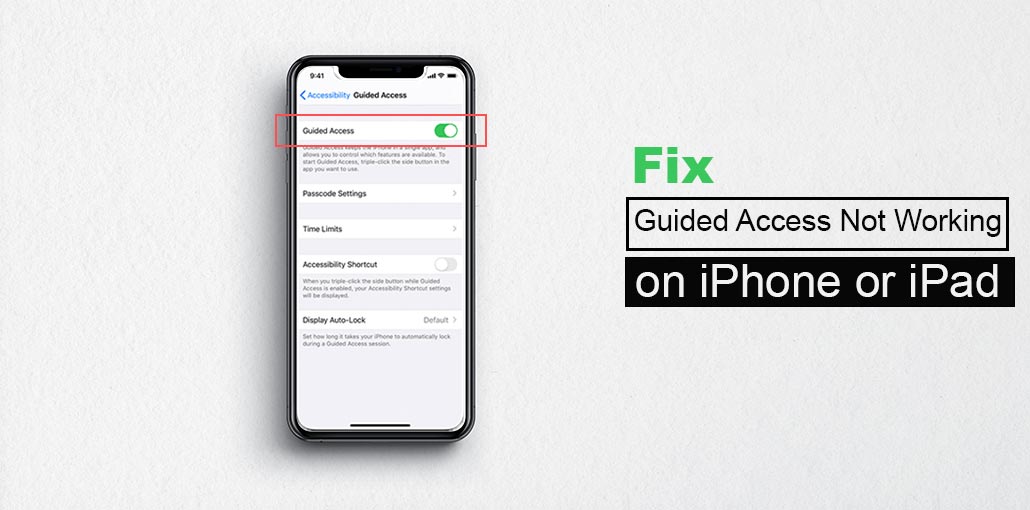 Guided Access Not Working