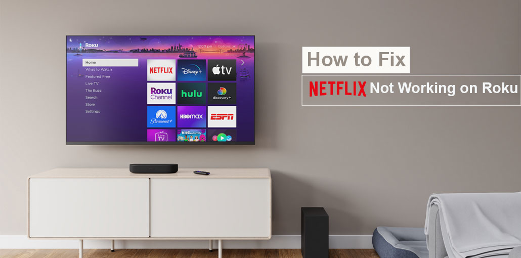 Netflix Not Working on Roku