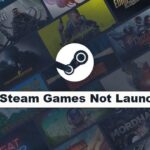 Steam Games Not Launching