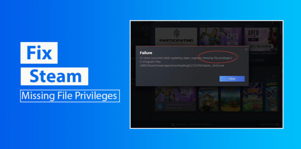 Steam Missing File Privileges