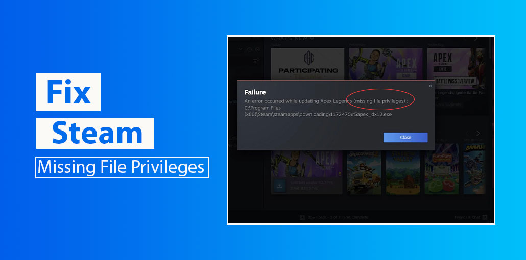 Steam Missing File Privileges