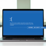 Kernel Security Check Failure