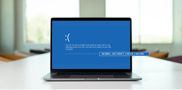 Kernel Security Check Failure