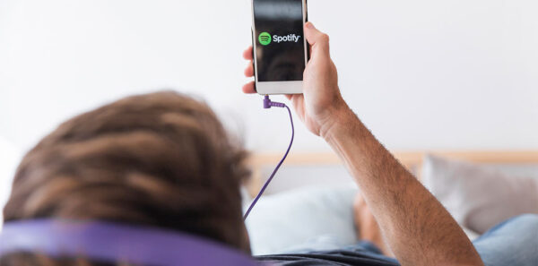 Spotify Search Not Working