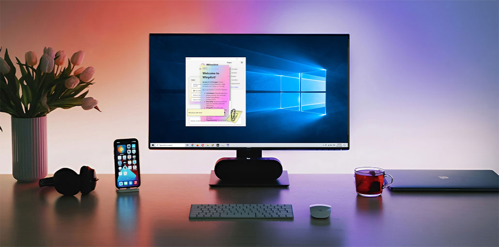Windows 11 Debloater
