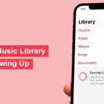 iCloud Music Library