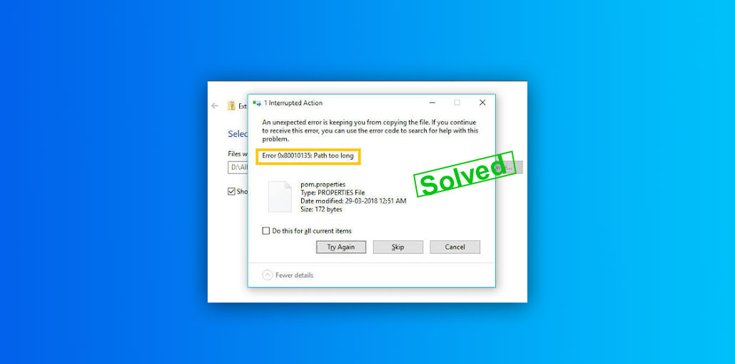 Error 0x80010135