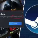Steam Invalid Platform Error