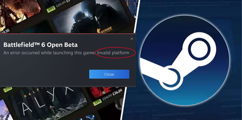 Steam Invalid Platform Error