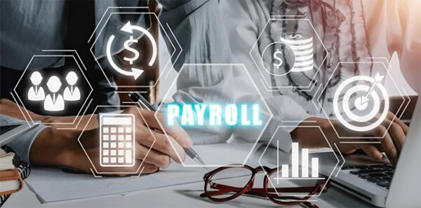 Payroll Software for Accountants